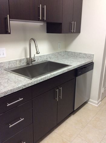Sleek Cabinets with Deep Sink